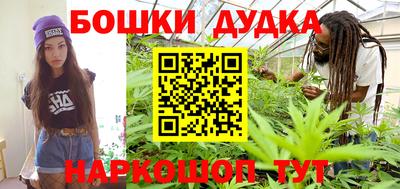 мдпв Будённовск