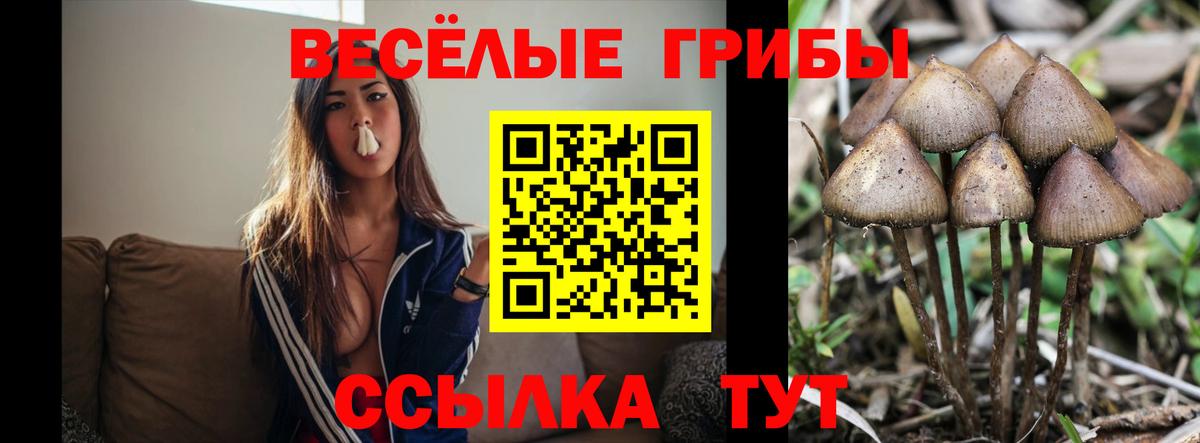 Галлюциногенные грибы Psilocybe  Галлюциногенные грибы Cubensis  Старая Русса  закладки  Вход с VPN 